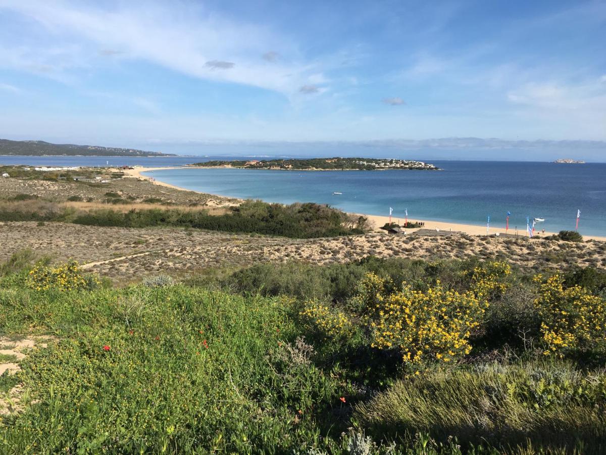 Il Bouganville A 150M Dalla Spiaggia Con Vista Sulla Splendida Baia Di Porto Raphael パラーウ エクステリア 写真