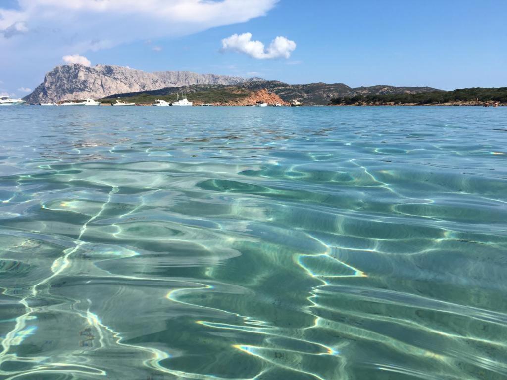 Il Bouganville A 150M Dalla Spiaggia Con Vista Sulla Splendida Baia Di Porto Raphael パラーウ エクステリア 写真